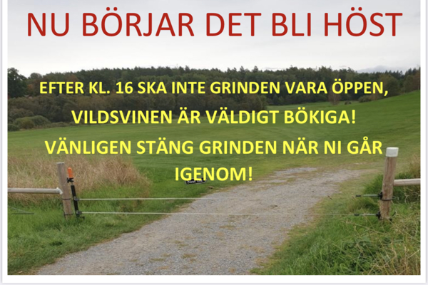 Nu börjar det bli höst