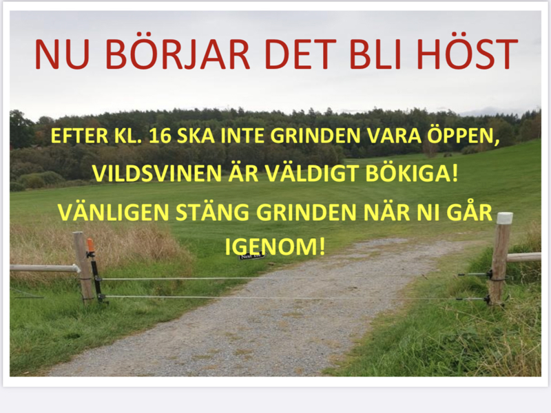 Nu börjar det bli höst