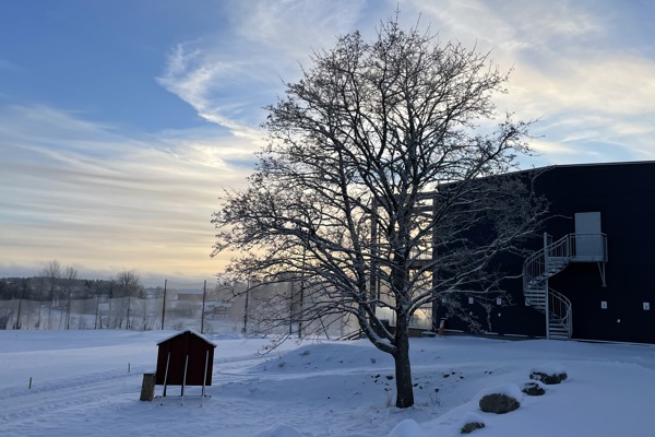 Shopen Öppen lördag 10-14