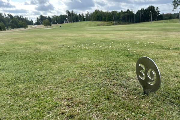 Tee 39