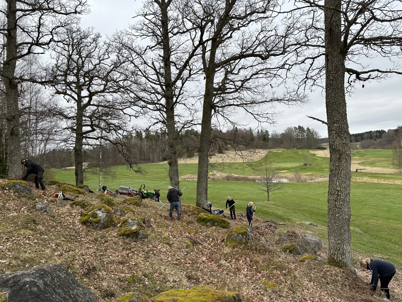 37 medlemmar städade banan