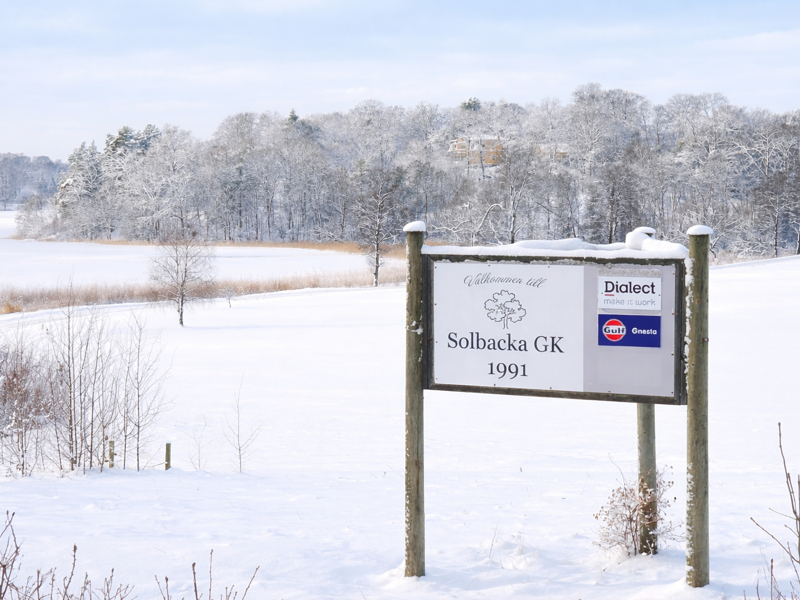 Mycket positivt just nu på Solbacka