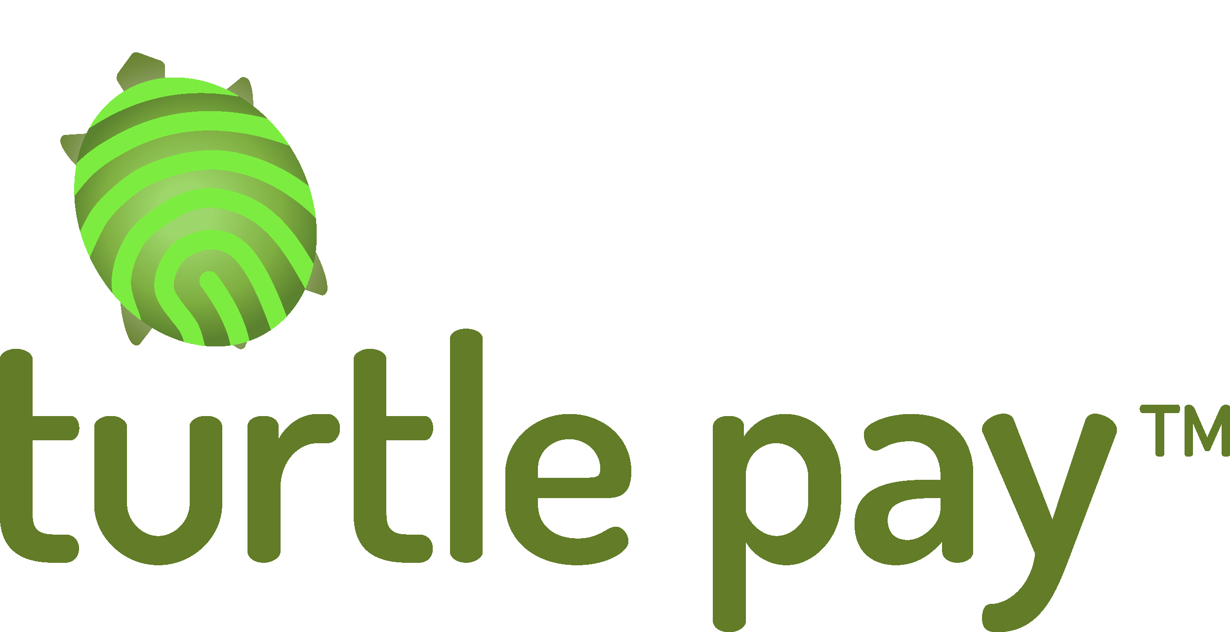 Turtle Pay